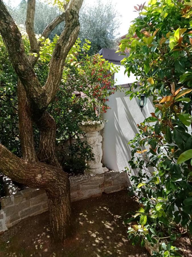 B&B Il Cantuccio Desenzano del Garda Kültér fotó